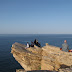 IMG_3508.JPG
