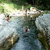 P1000232.jpg