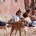 DSC00658.JPG