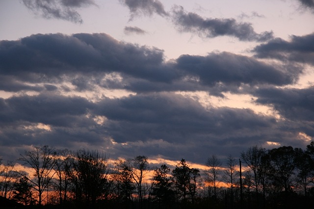 [IMG_226911.jpg]