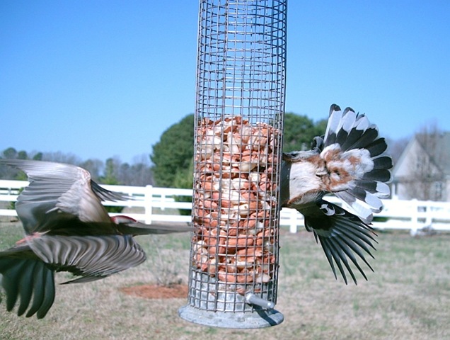 [WSBC02994.jpg]
