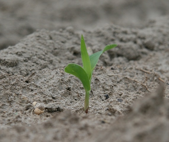 [IMG_34643.jpg]