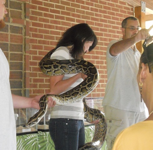 [python4.jpg]