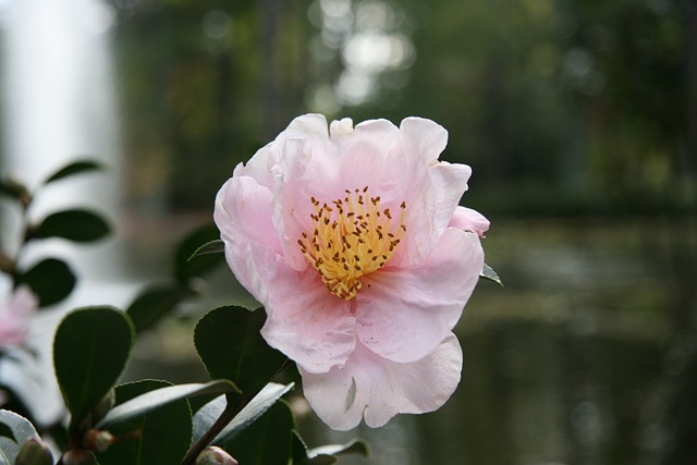 [IMG_79887.jpg]