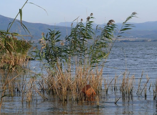 jezioro