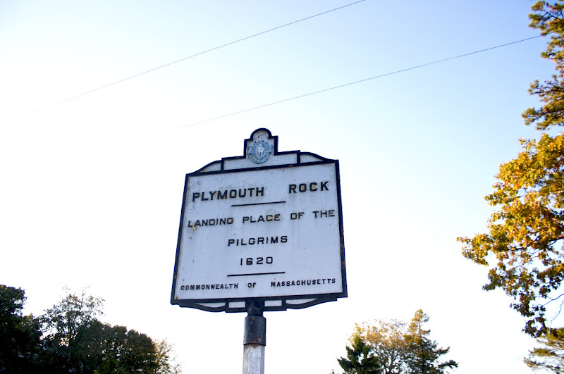 CRW_8150.jpg CRW_8150.jpg