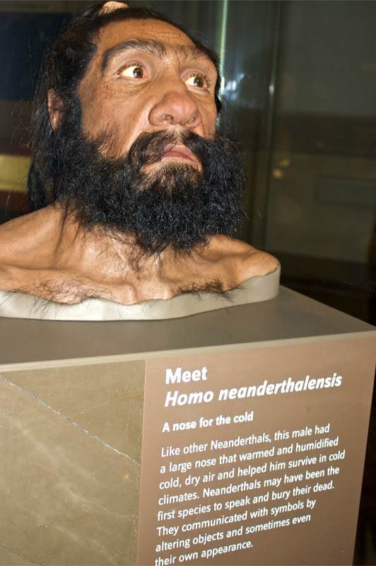 CRW_8579.jpg CRW_8579.jpg