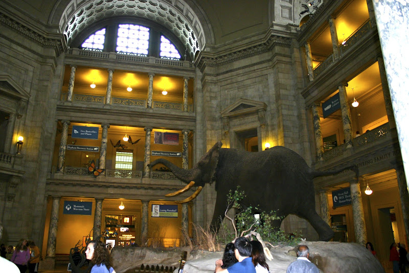 IMG_8612.jpg IMG_8612.jpg