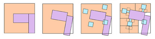 Oranaization Concept