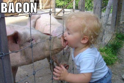 [funny-pictures-bacon-not-done[3].jpg]