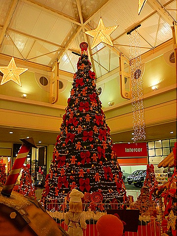 [P1040471[7].jpg]