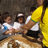 1ª viagem dia do indio Kalled 098.jpg