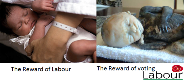 [baby[2].png]