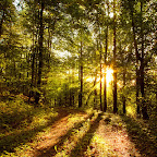 02010_thefugacity_1920x1200.jpg