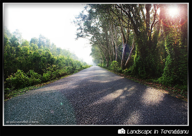 shadow and mist at gong badak picture