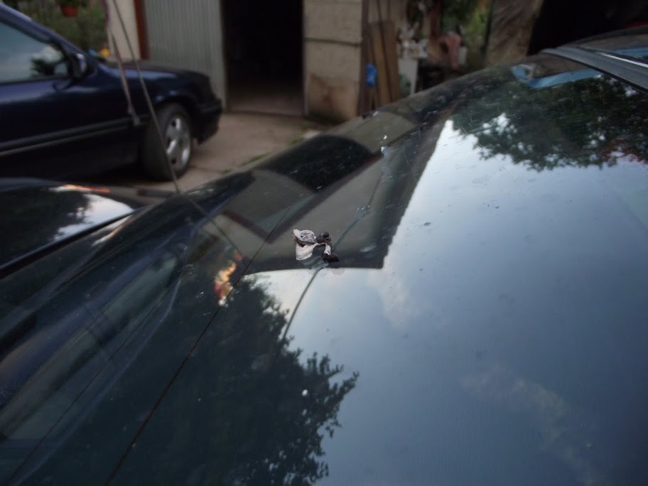DSCF1248.JPG