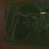 CIMG9075.JPG