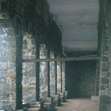 CIMG9096.JPG