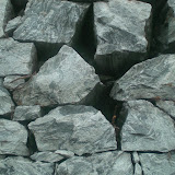 CIMG9105.JPG