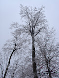 DSC08201.JPG