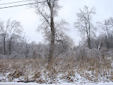 DSC08230.JPG