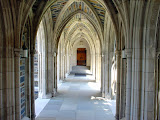 DSC05373.JPG
