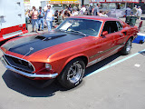 DSC07088.jpg