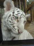 DSC05821.JPG