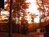 DSC08011.JPG