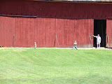 DSC08965.JPG