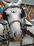 DSC09350.JPG