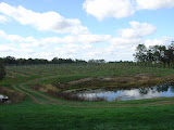 DSC09489.JPG