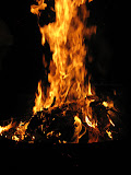 IMG_1149.JPG