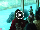 Toledo Zoo 2006 162.mpg