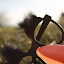 Groucho Glasses via the Easter Bunny