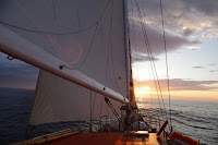PETR0017.JPG Photo