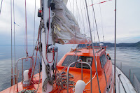 PETR0564.JPG Photo