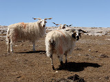 P4150264.JPG