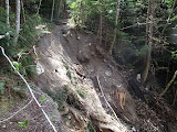 IMG_1299.JPG