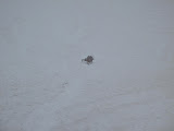 IMG_2818.JPG