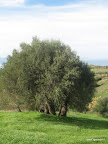  &ndash; 15-nov-2009