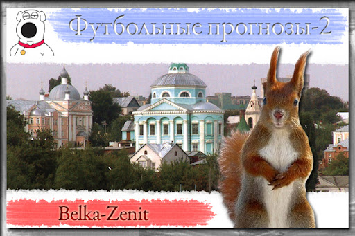 belka-zenit