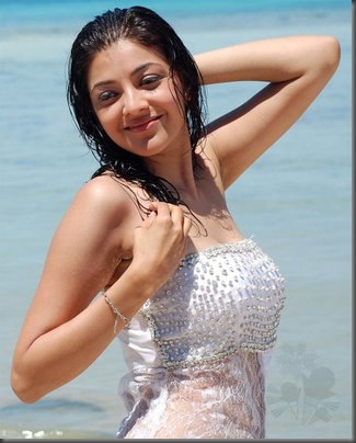 kajal agarwal sexy kollywood actress pictures 041109