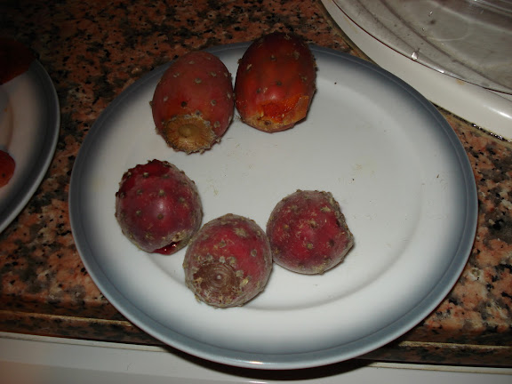 Kép