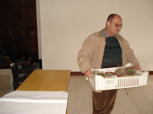 Kép