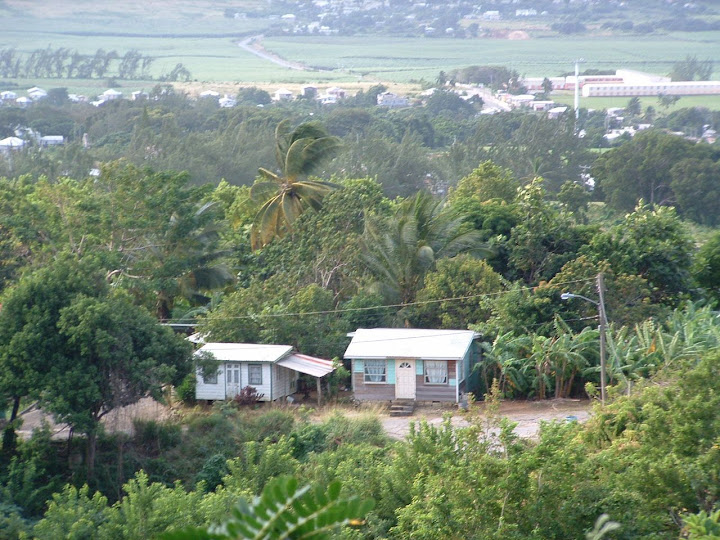 Barbados%20035.jpg