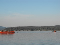 [Ferry to Sidney, BC, Canada 008[2].jpg]