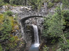 [Mt. Rainier National Park 137[2].jpg]