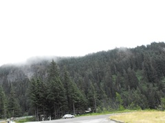 [Mt. Rainier National Park 144[2].jpg]