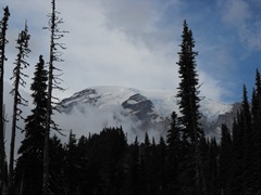 [Mt. Rainier 236[2].jpg]